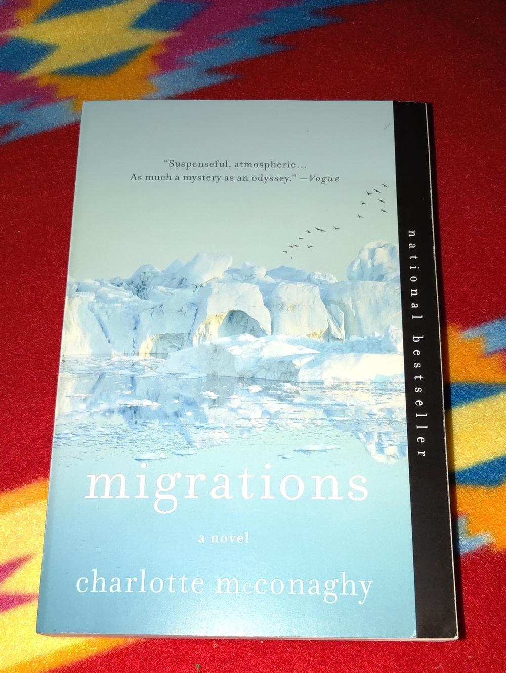 Migrations: A Novel - McConaghy, Charlotte, paperback